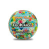 TEOKAIDO - PALLONE VOLLEY