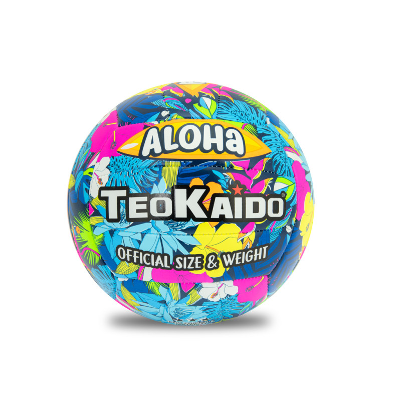 TEOKAIDO - PALLONE VOLLEY