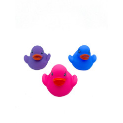 Ducks