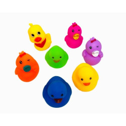Ducks