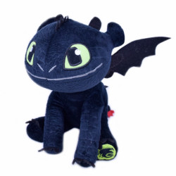 DRAGON TRAINER