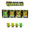 Teenage Mutant Ninja Turtles Figure