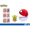 PERSONAGGIO POKEMON SFERA