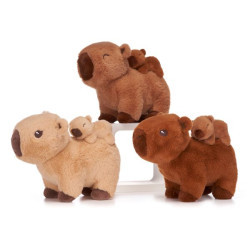 CAPIBARA con cucciolo sulla...