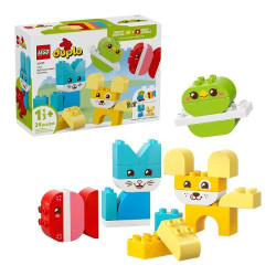 Animali domestici creativi...