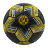 Borussia Dortmund official ball