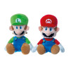 Nintendo Mario & Luigi