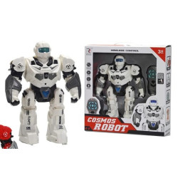 Cosmos Robot